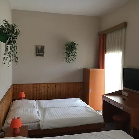 Hotel Vonyarc Vonyarcvashegy